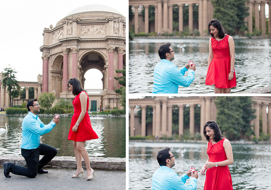 Shocked to see a ring and Dhanesh on his knees - San Francisco Palace of Fine Arts proposal