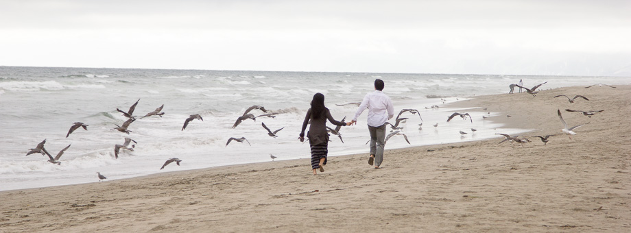 running with the birds along beach shore