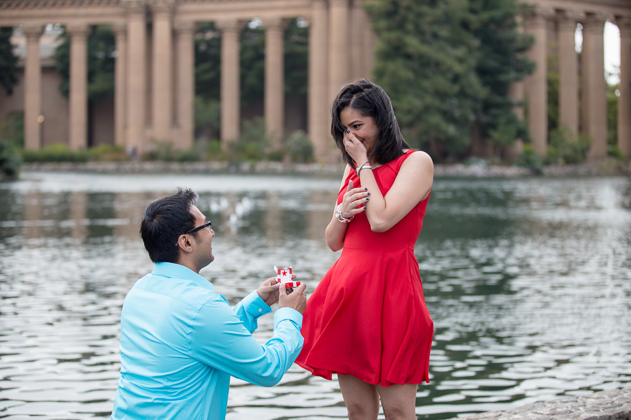 So excited during surprise marriage proposal - Palace of Fine Arts in San Francisco