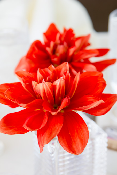 red flower table centerpiece for wedding lunch tables