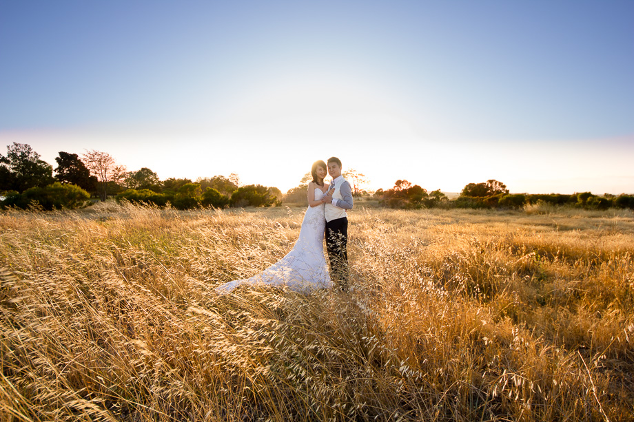 wedding portrait in yellow field of rolling grass around sunset backlit with sun flare