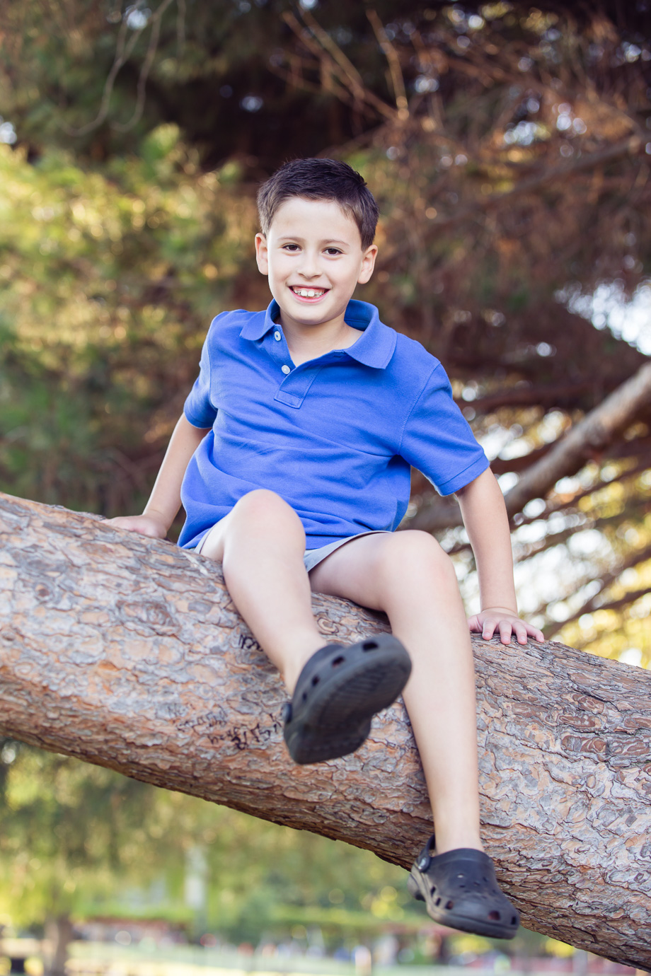 Portrait photograph of boy sitting on a tree branch at a park