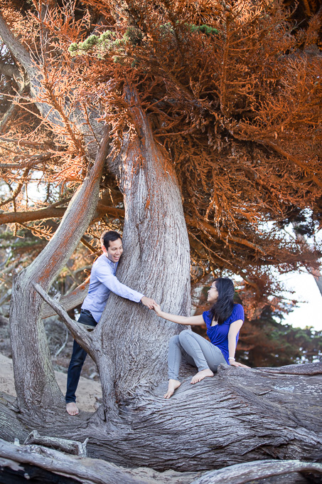 Mini engagement session at Baker Beach under an orange tree