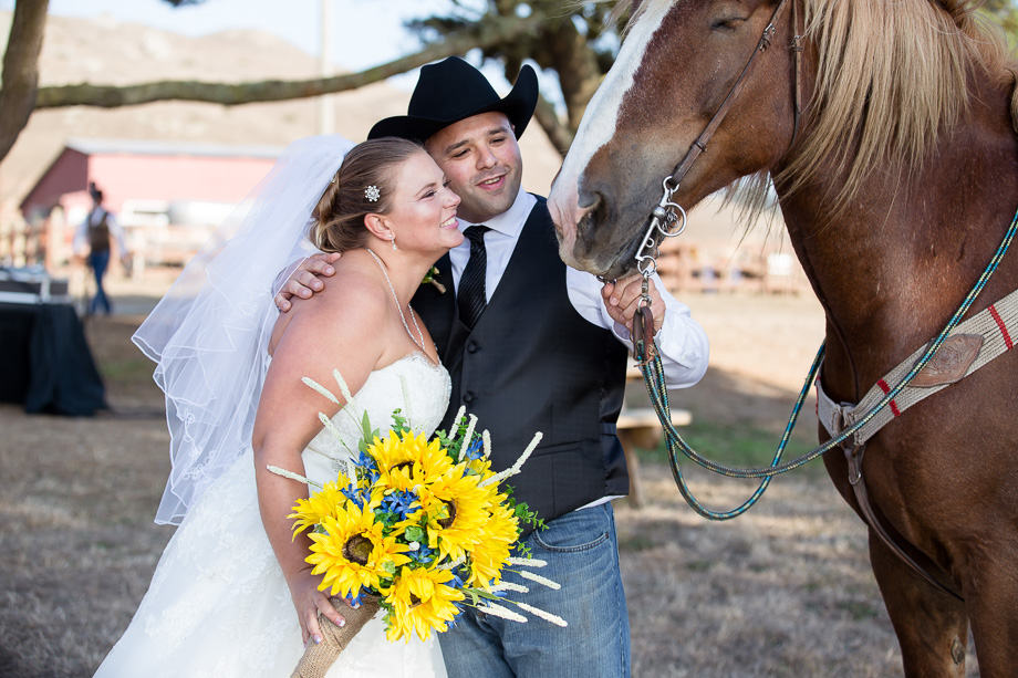 Bride and groom holding sunflowers with a horse on Chanslor Ranch