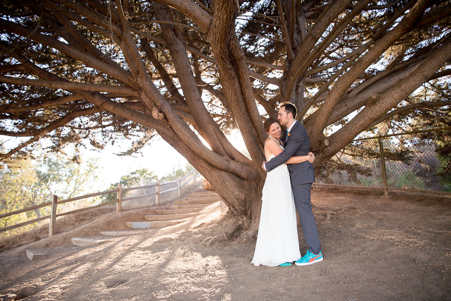 Dreamy wedding photo with magic lighting behind the giant tree
