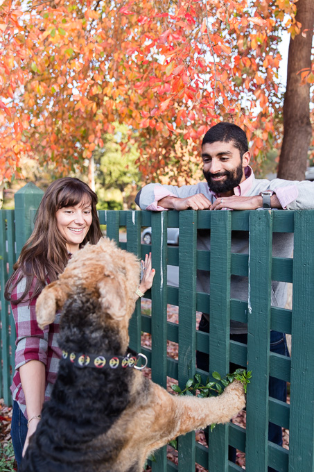 Couple looking at their dog near a green fence under orange red fall tree leaves at Gamble Garden