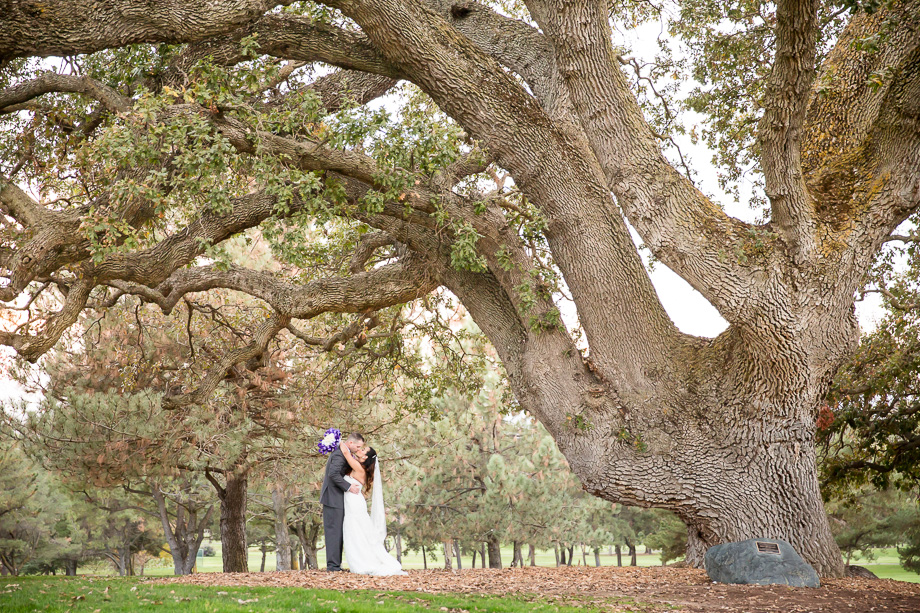 Wedding portrait couple kissing under the giant oak tree at Boundary Oak Golf Club