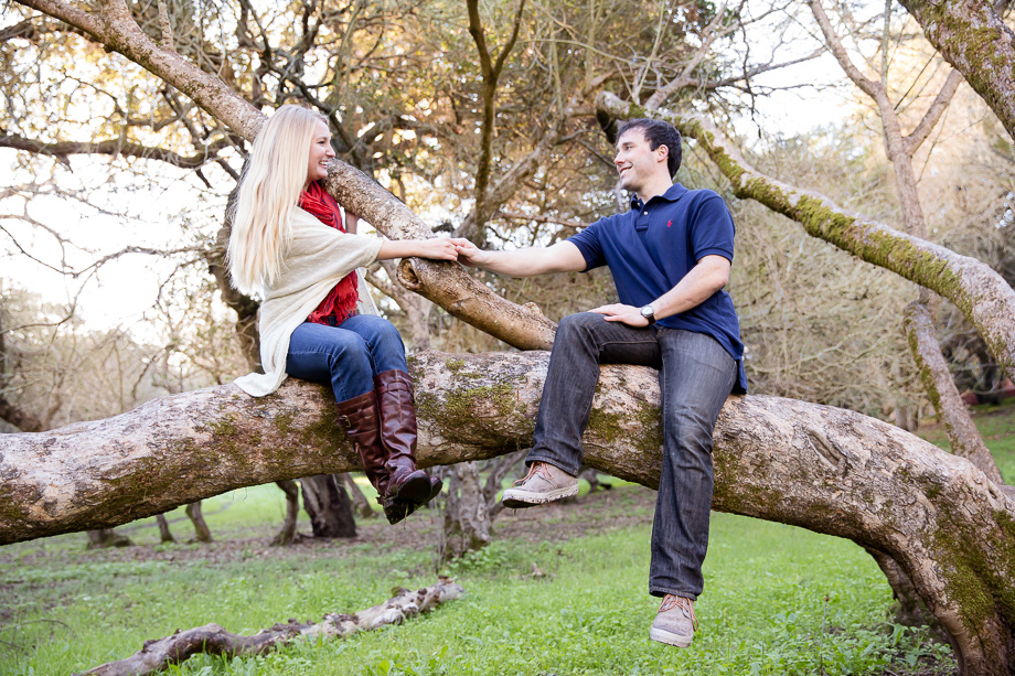 cute engagement photo taken in sharon park menlo park - tree shot with couple holding hands
