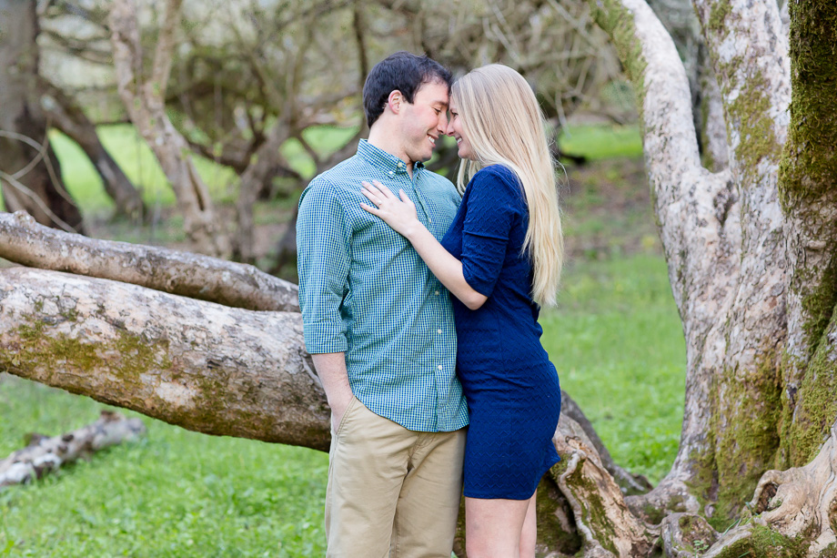 beautiful engagement photo - gorgeous couple standing in front of a tree