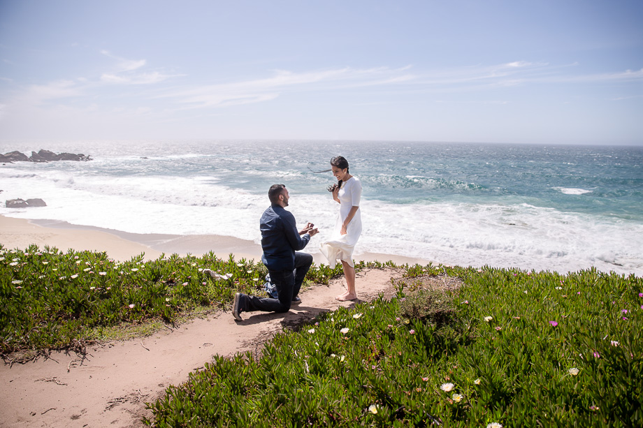 surprise proposal overlooking Garrapata State Beach near Carmel-by-the-Sea