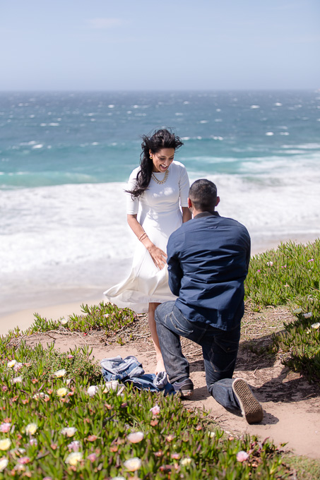 shocked and happy - proposal overlooking Garrapata State Beach near Monterey