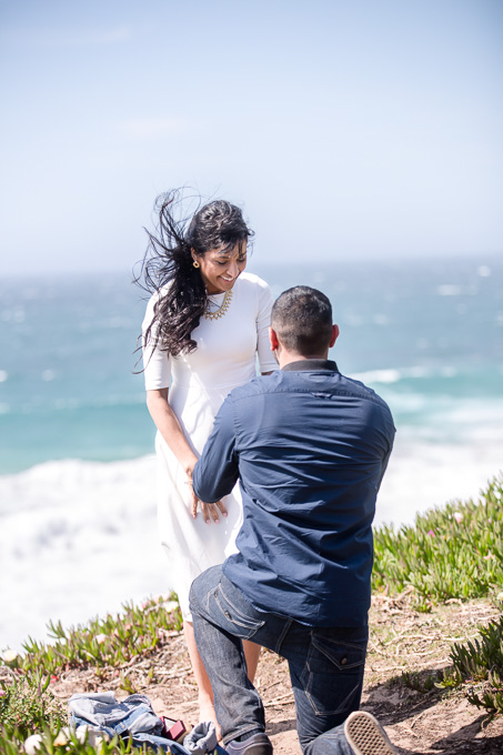 shocked and happy - proposal overlooking Garrapata State Beach near Monterey