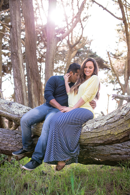 engagement photo up on a tree in the woods