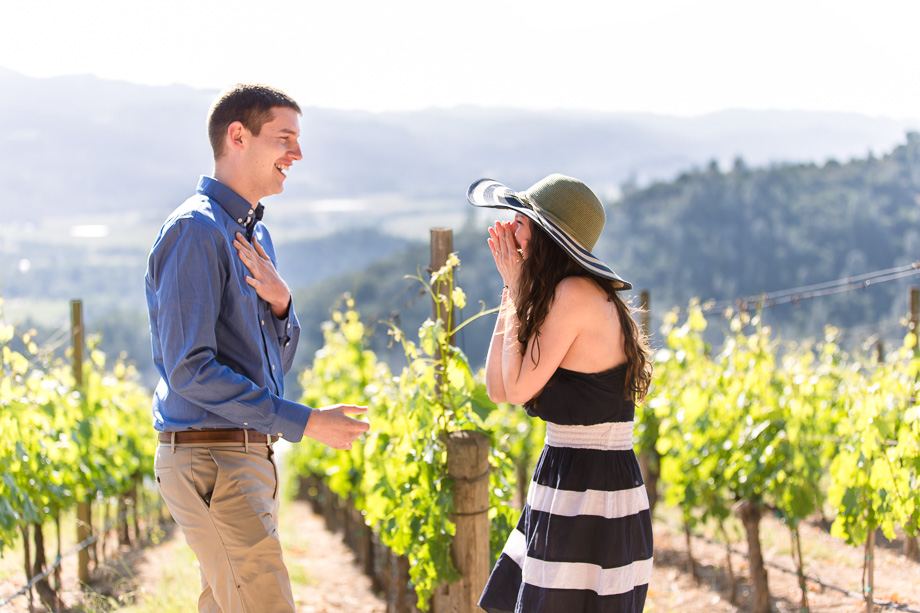she said yes to his proposal at viader in napa valley