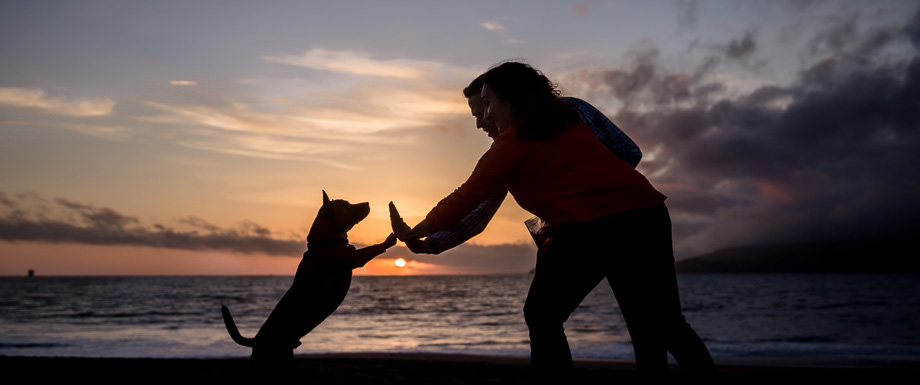 silhouette shot of high five a puppy - san francisco engagement photos