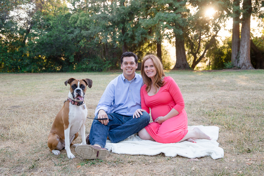 family photo with a boxer puppy and a baby in the belly