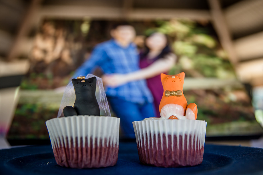 cutest wedding cupcakes for couples who love cats