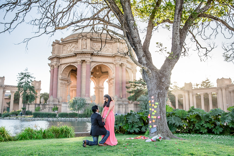 paparazzi photo of a romantic proposal at Palace of Fine Arts, San Francisco