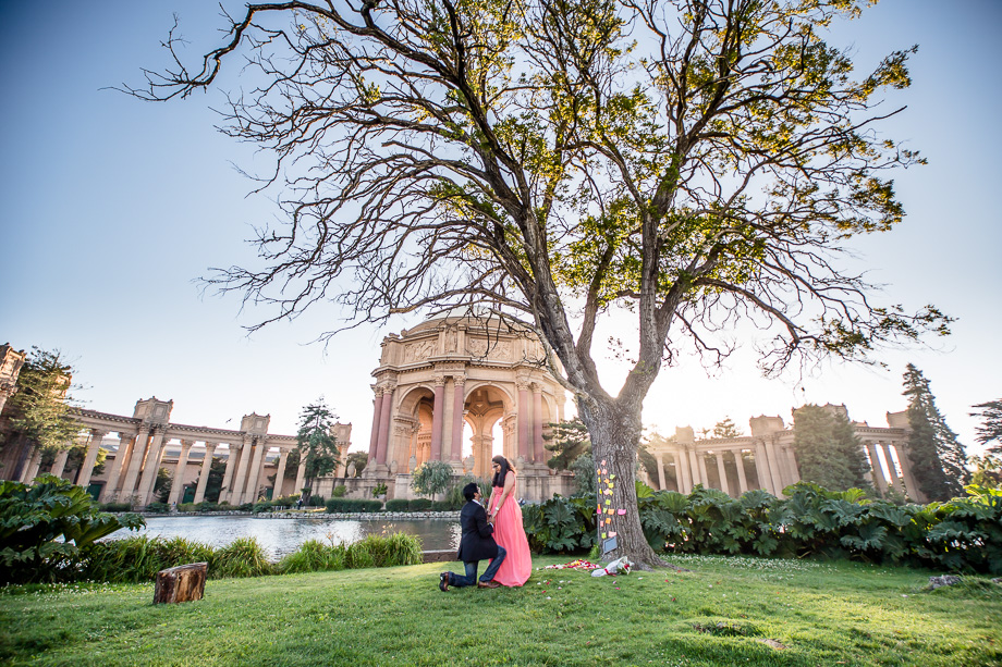 beautiful and romantic surprise marriage proposal photo at Palace of Fine Arts