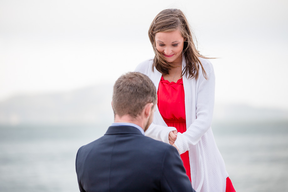 She was overwhelmed with joy - romantic proposal
