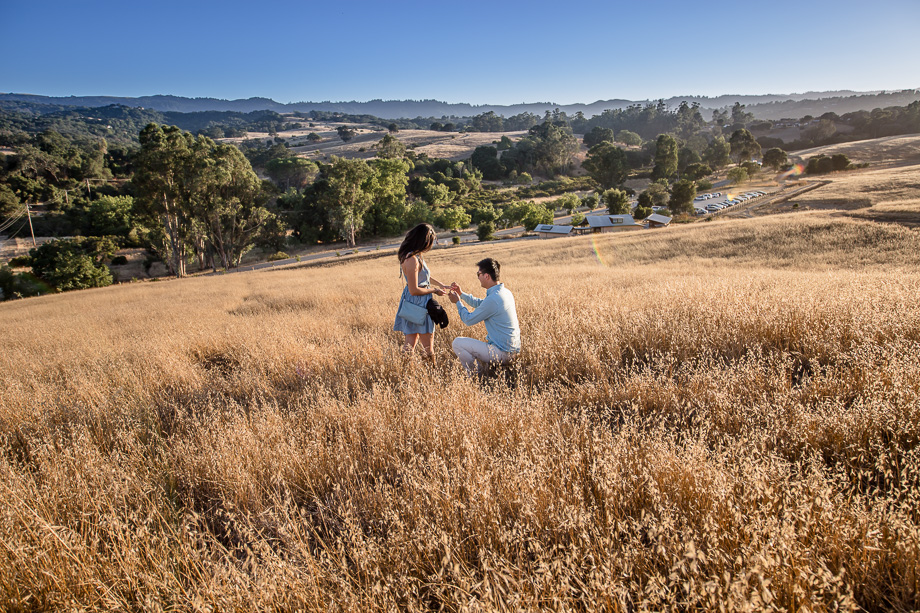 proposing in an open field