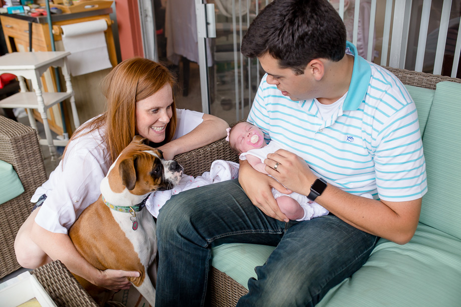 introducing the puppy to the newborn baby girl - los gatos lifestyle family photographer