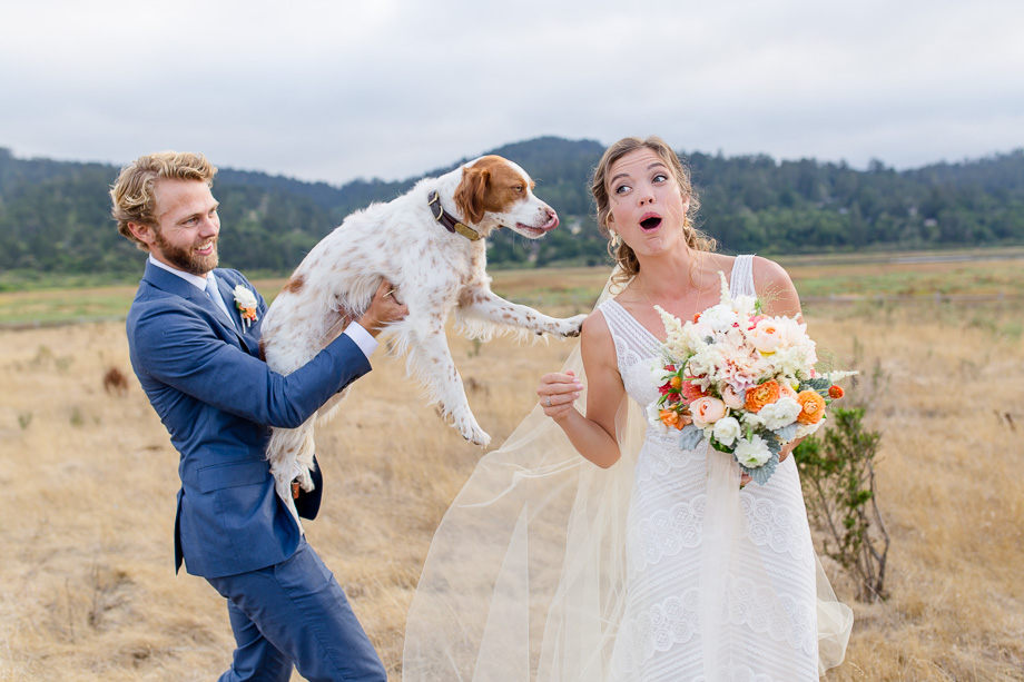 bride surprised by her groom and puppy - precious moment captured by A Tale Ahead Photography