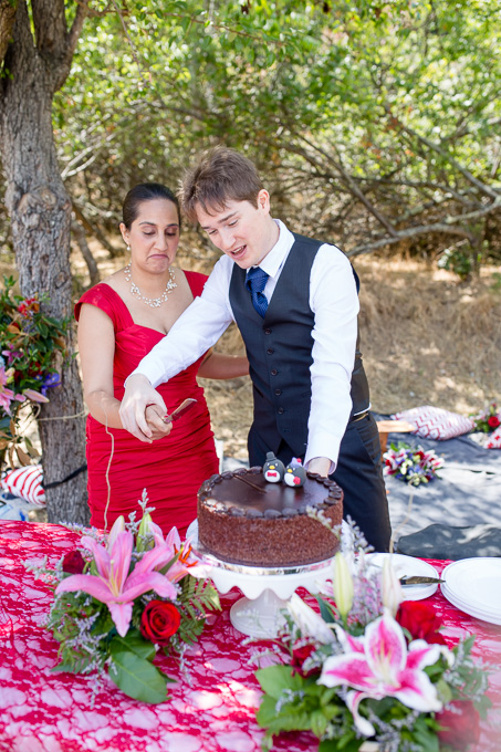 funny wedding cake cutting