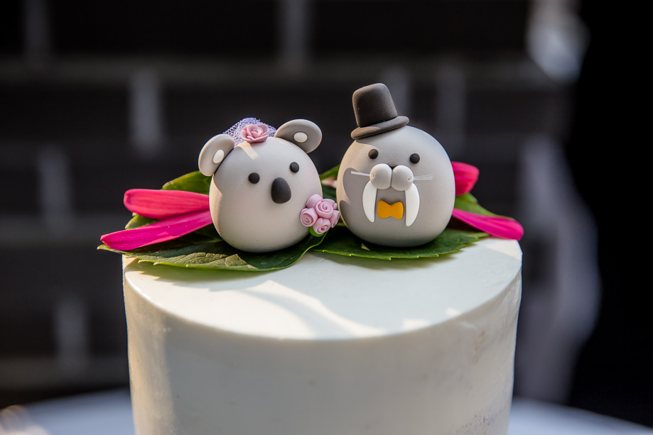 cute koala and seal cake toppers