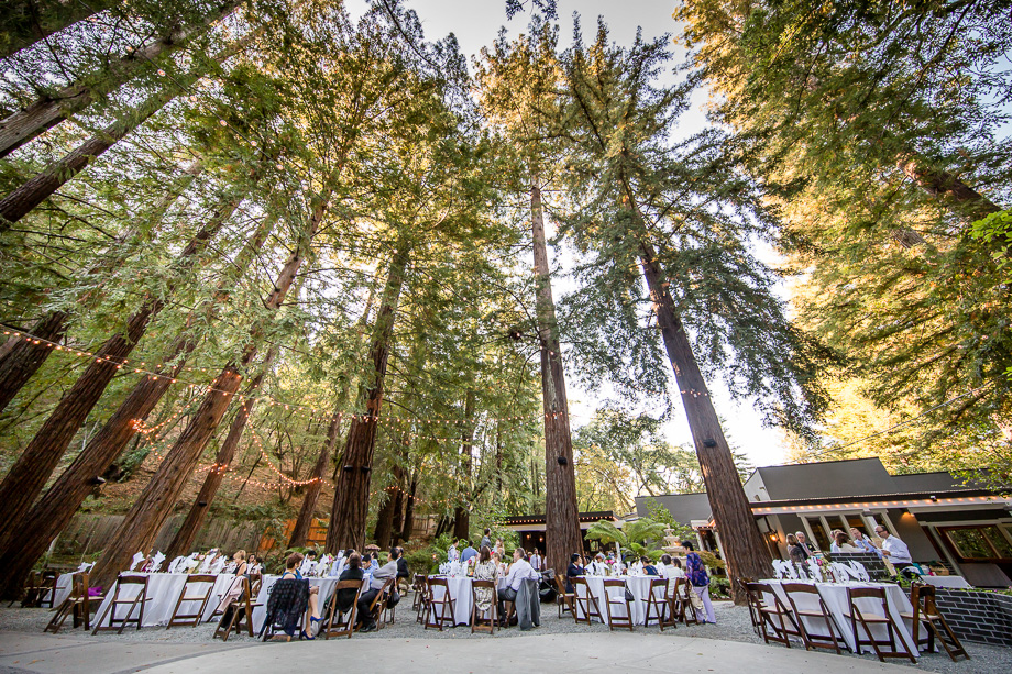 Deer Park Villa wedding reception surrounded by redwood trees