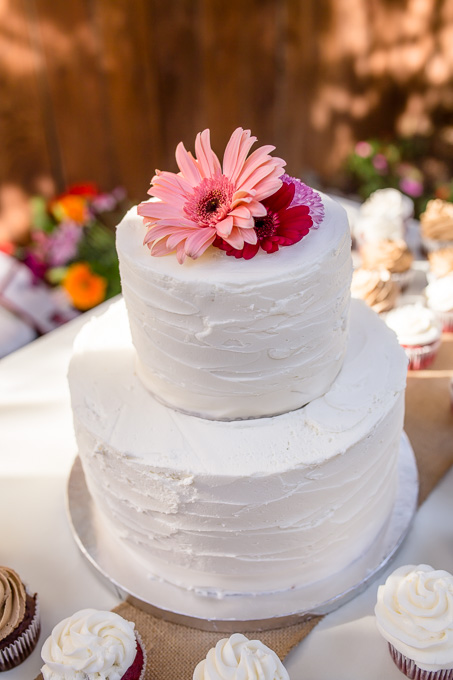 simple rustic wedding cake