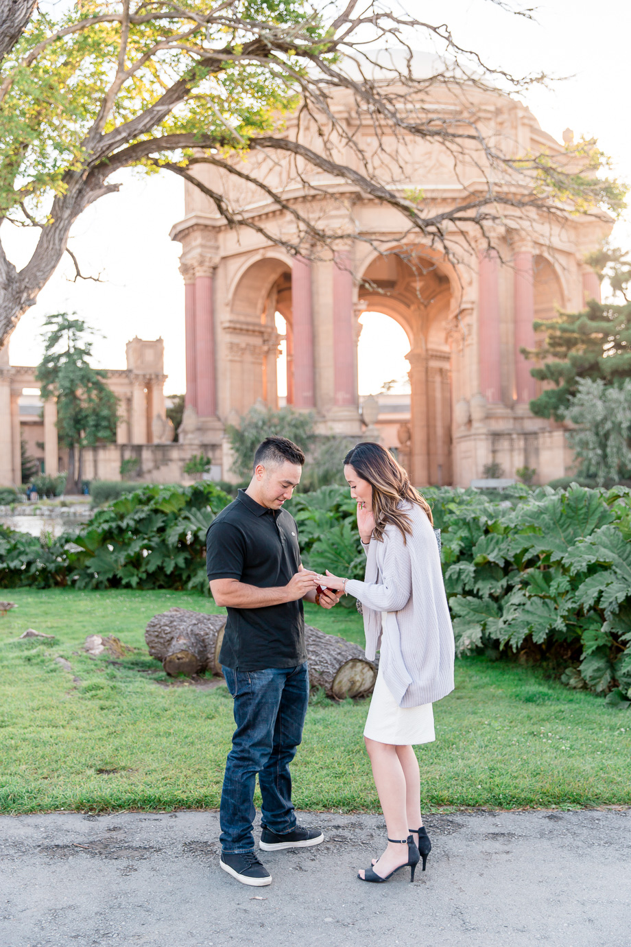 romantic San Francisco surprise proposal at palace of fine arts