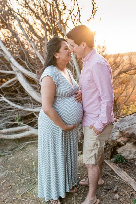 beautiful maternity picture with husband
