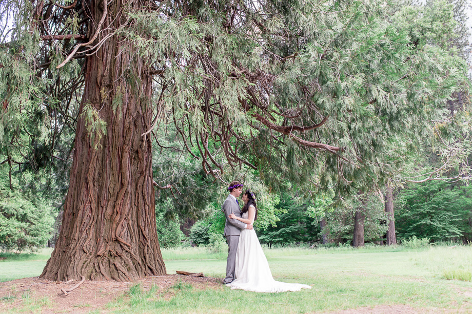 bride and groom portrait under a magical big tree