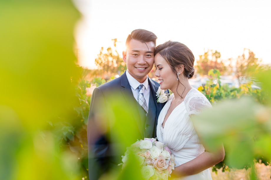 romantic sunset portrait in the vineyards at Garre Winery and Vineyards