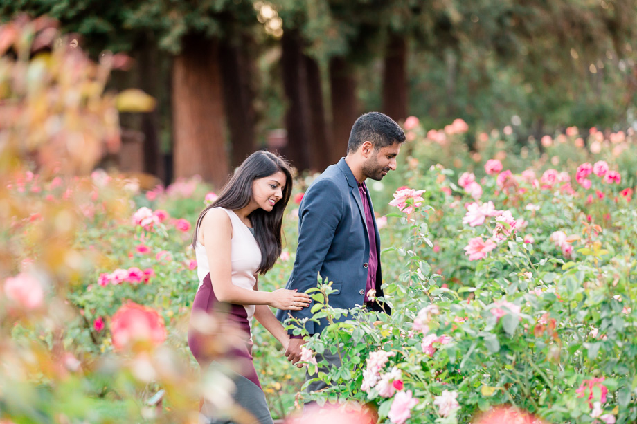 San Jose Municipal Rose Garden surprise proposal