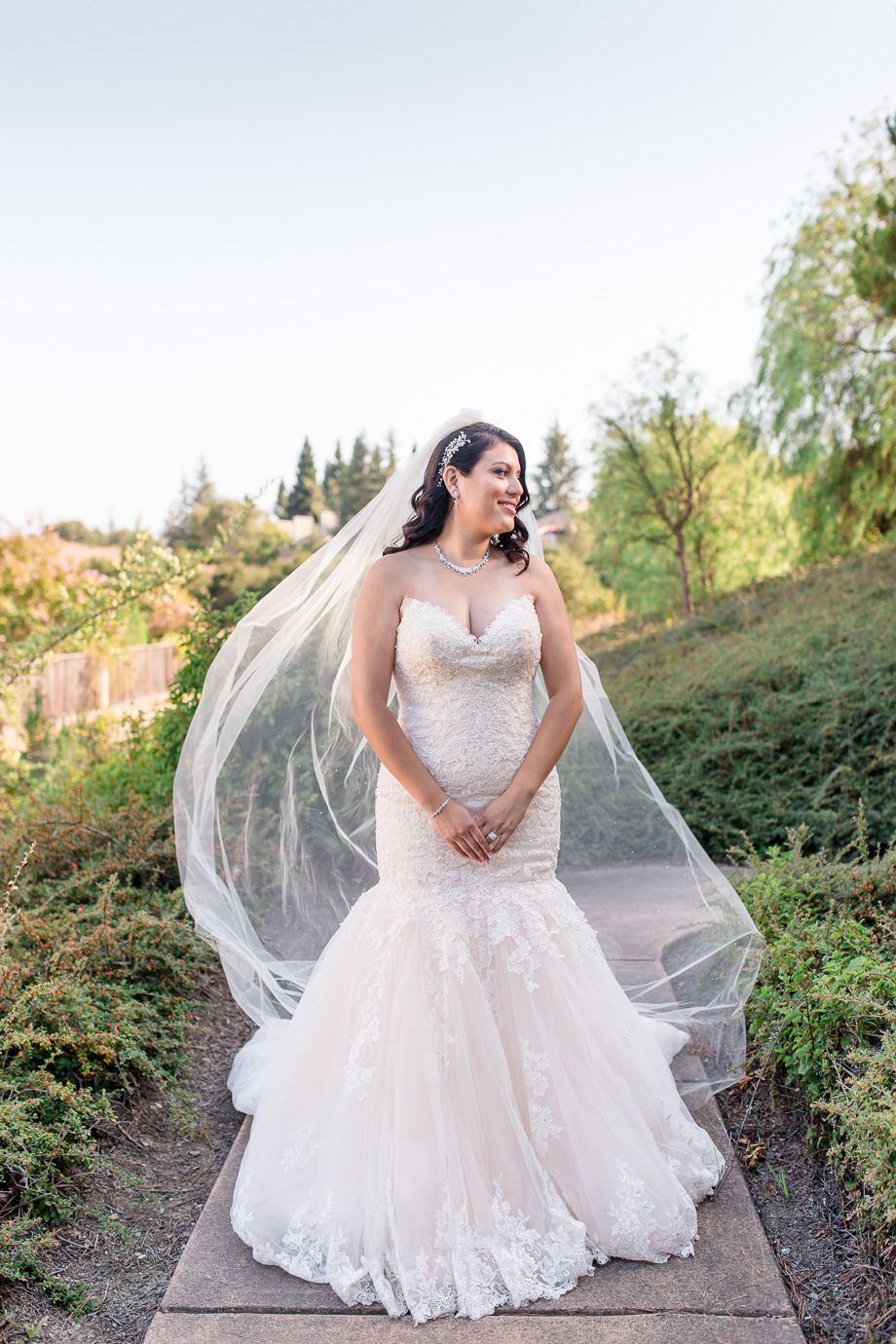 stunning bridal portrait with chapel length veil flying in the wind - bay area wedding