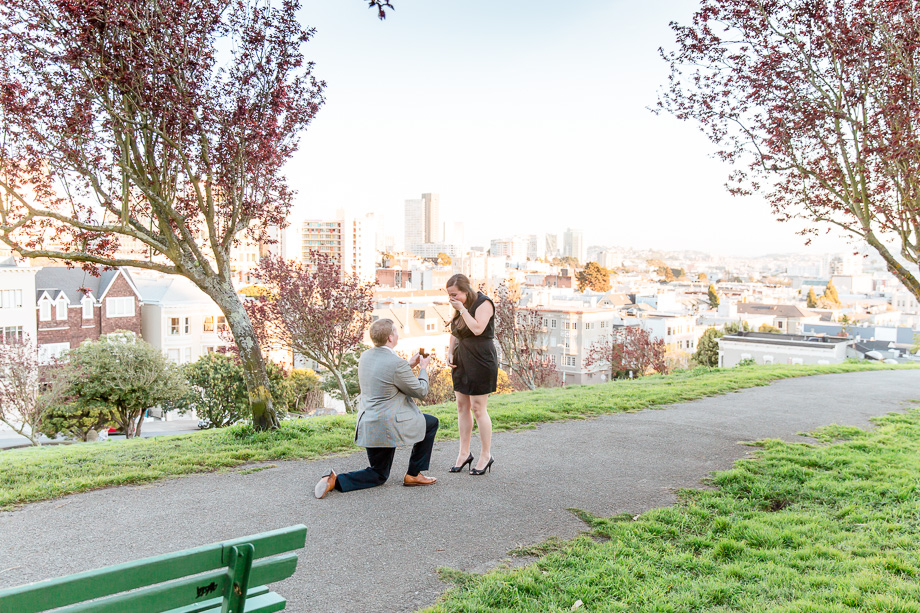 a romantic proposal at Alta Plaza park