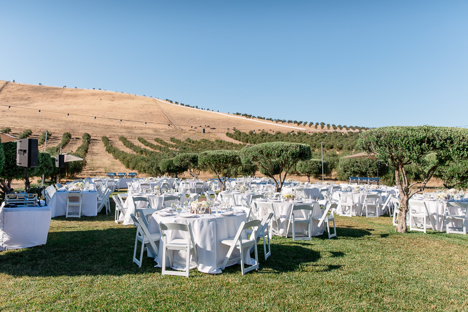 wedding reception with a mountain and vinyards backdrop - purple orchid inn