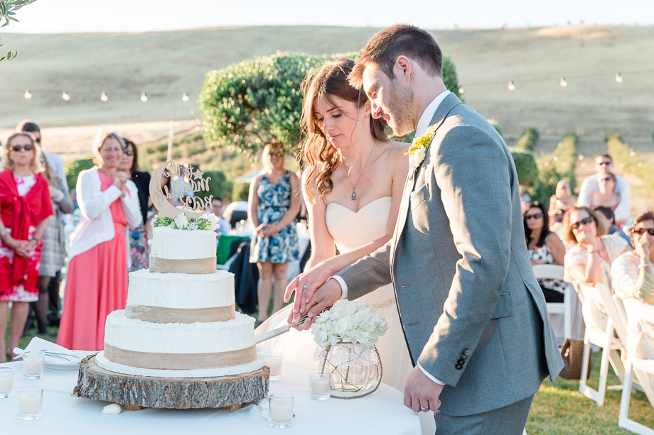bride and groom cutting the cake - livermore outdoor wedding reception