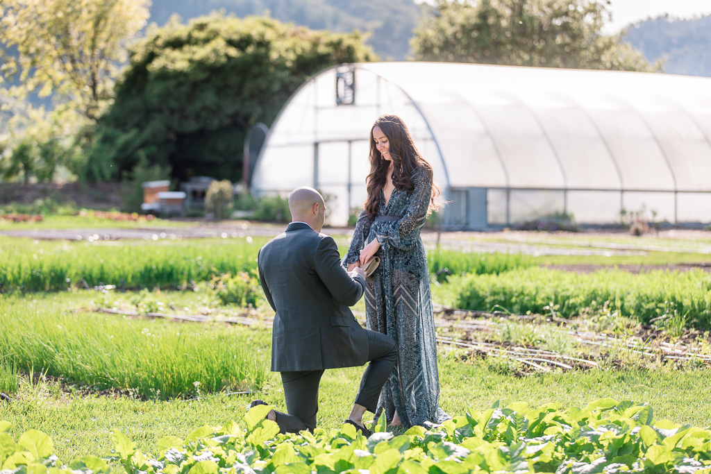 surprise engagement proposal at the French Laundry culinary garden