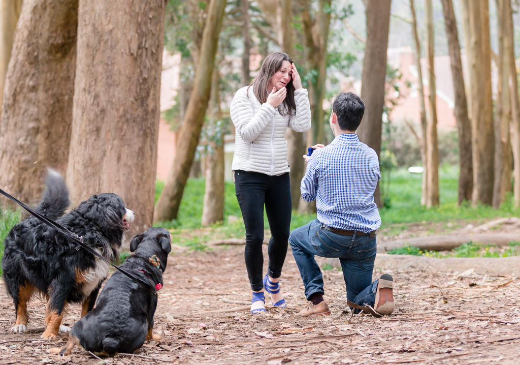 san francisco surprise engagement idea - having your dogs as the witness is the best