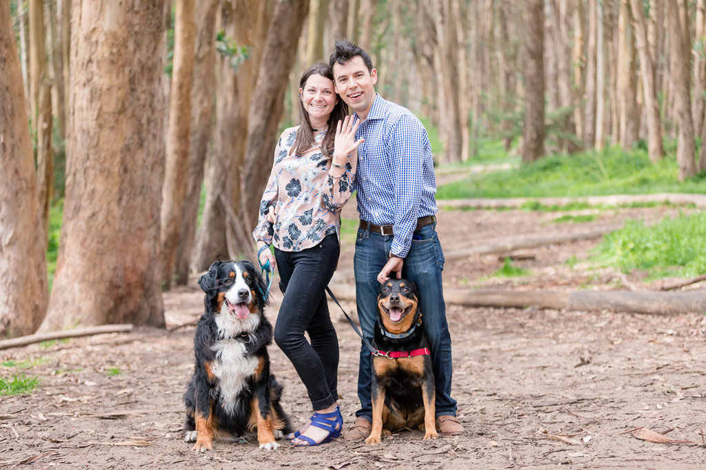 post surprise proposal portrait with dogs