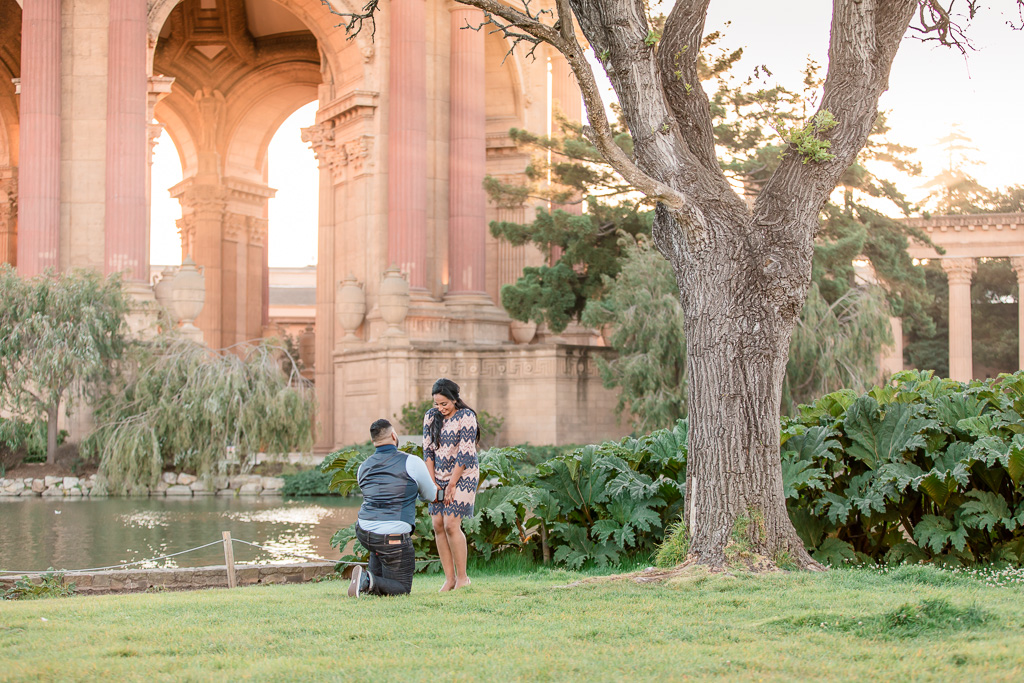 surprise engagement at Palace of Fine Arts