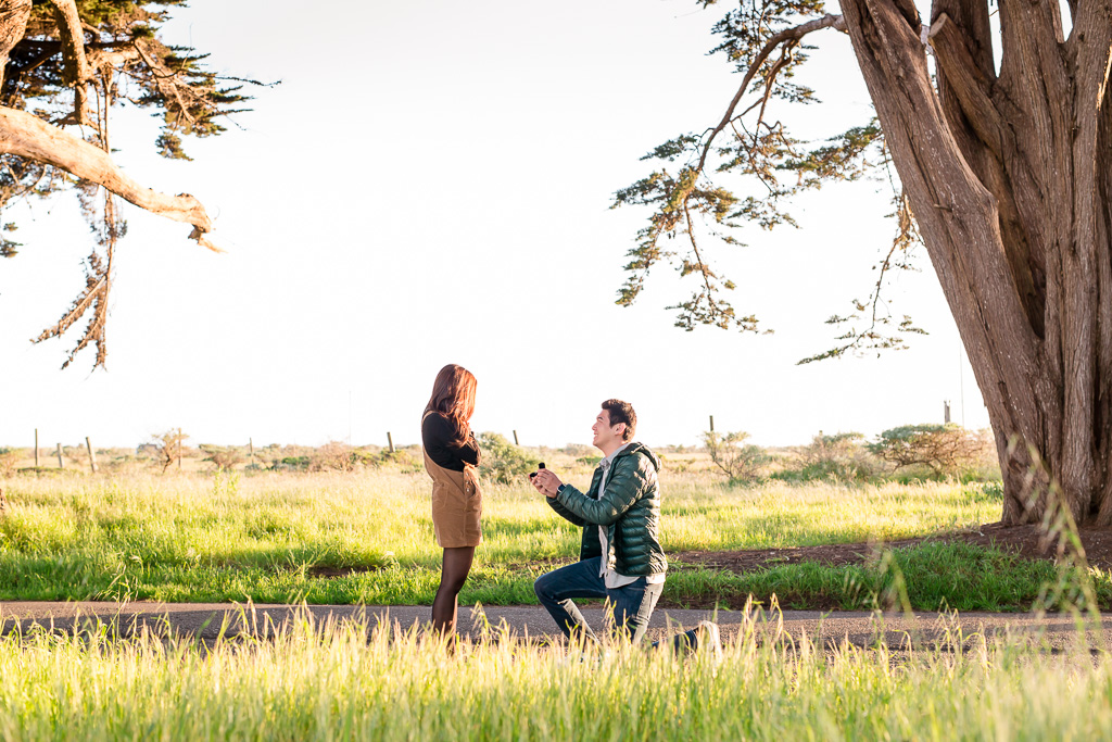 point reyes marriage proposal