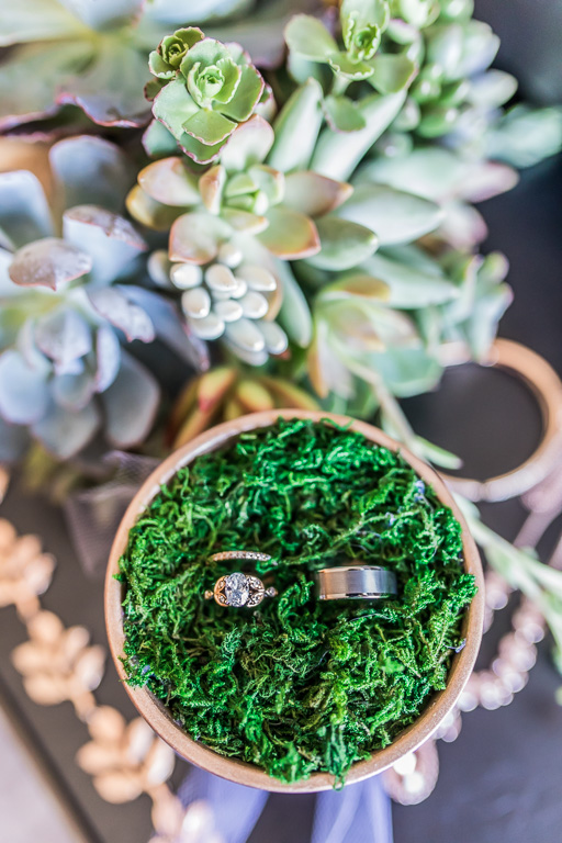 photo of wedding rings in flower pot