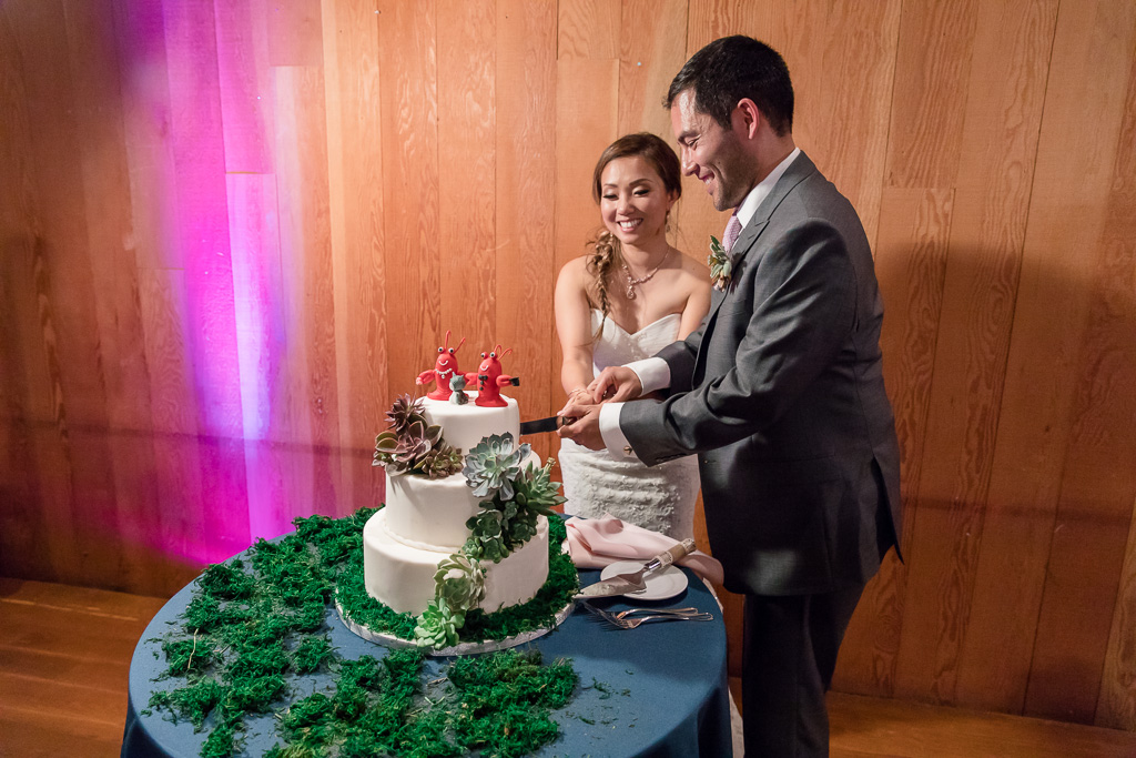 wedding cake cutting at CuriOdyssey Redwood Room