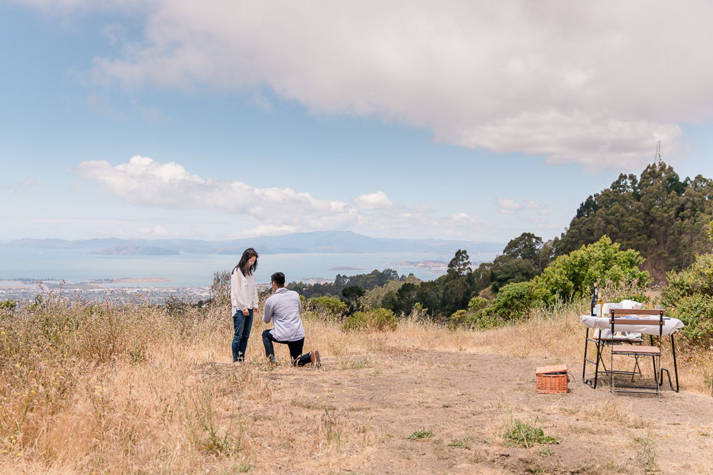 proposal after picnic in vista point