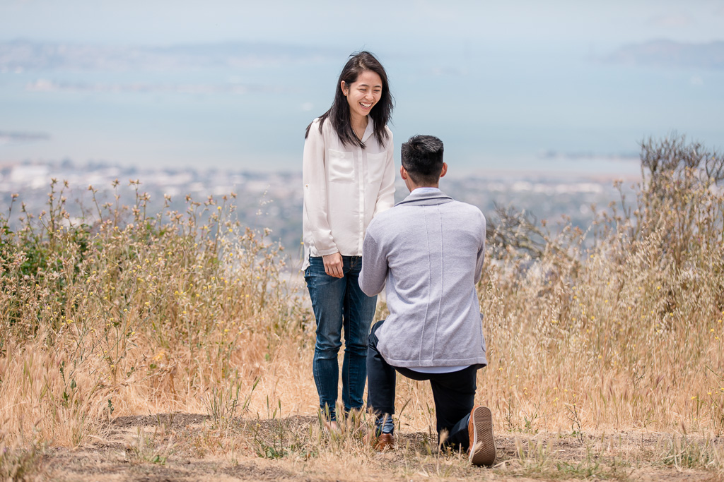 happy reaction to marriage proposal in golden field of grass