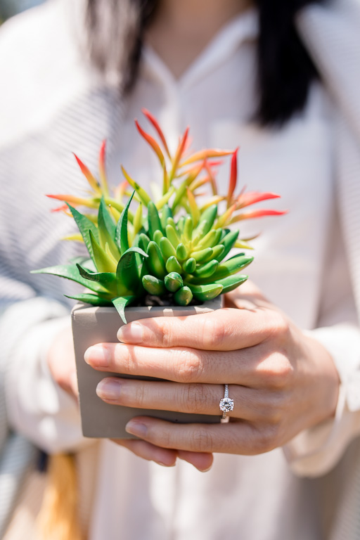holding cute green succulent potted plant and showing off diamond ring